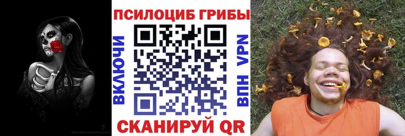 купить наркотики сайты ОМГ ОМГ онион Галлюциногенные грибы Psilocybe Озёрск